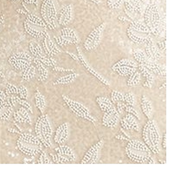 Lauren Ralph Lauren Embroidered Sequins Sleeveless Champagne MaXi Dress NWT 12 - Picture 15 of 15